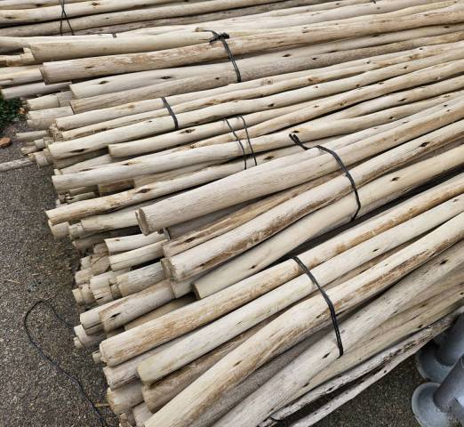 Rondins eucalyptus diamtre 25/32