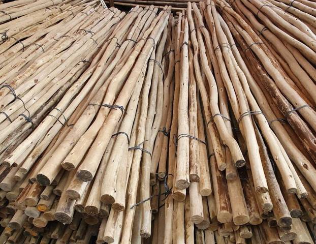 Rondins eucalyptus diamtre 32/50