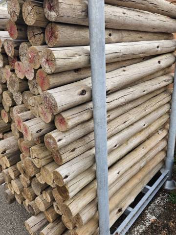 Rondins eucalyptus diamtre 75/100