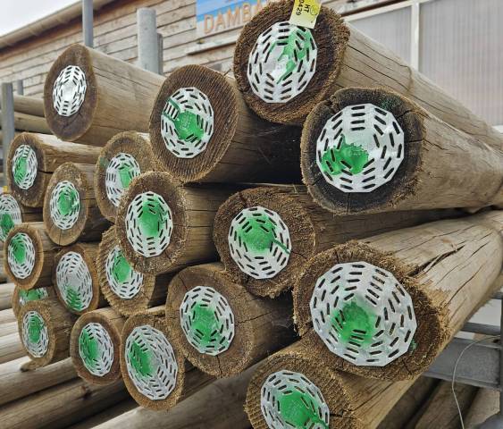 Rondins eucalyptus diamtre 125/150