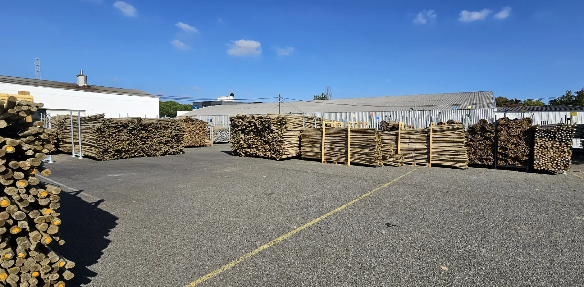 Eucalyptus trait Tanalith E