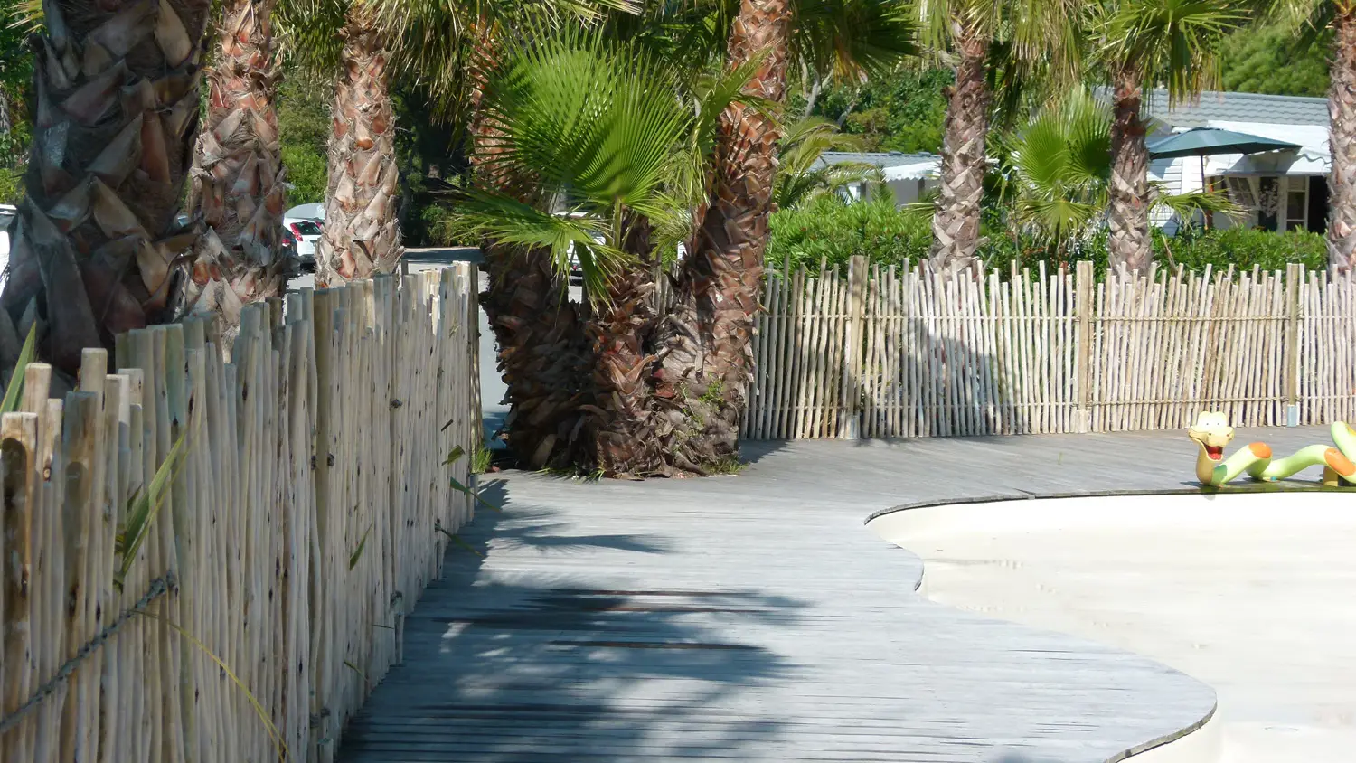 Brise-vue eucalyptus piscine